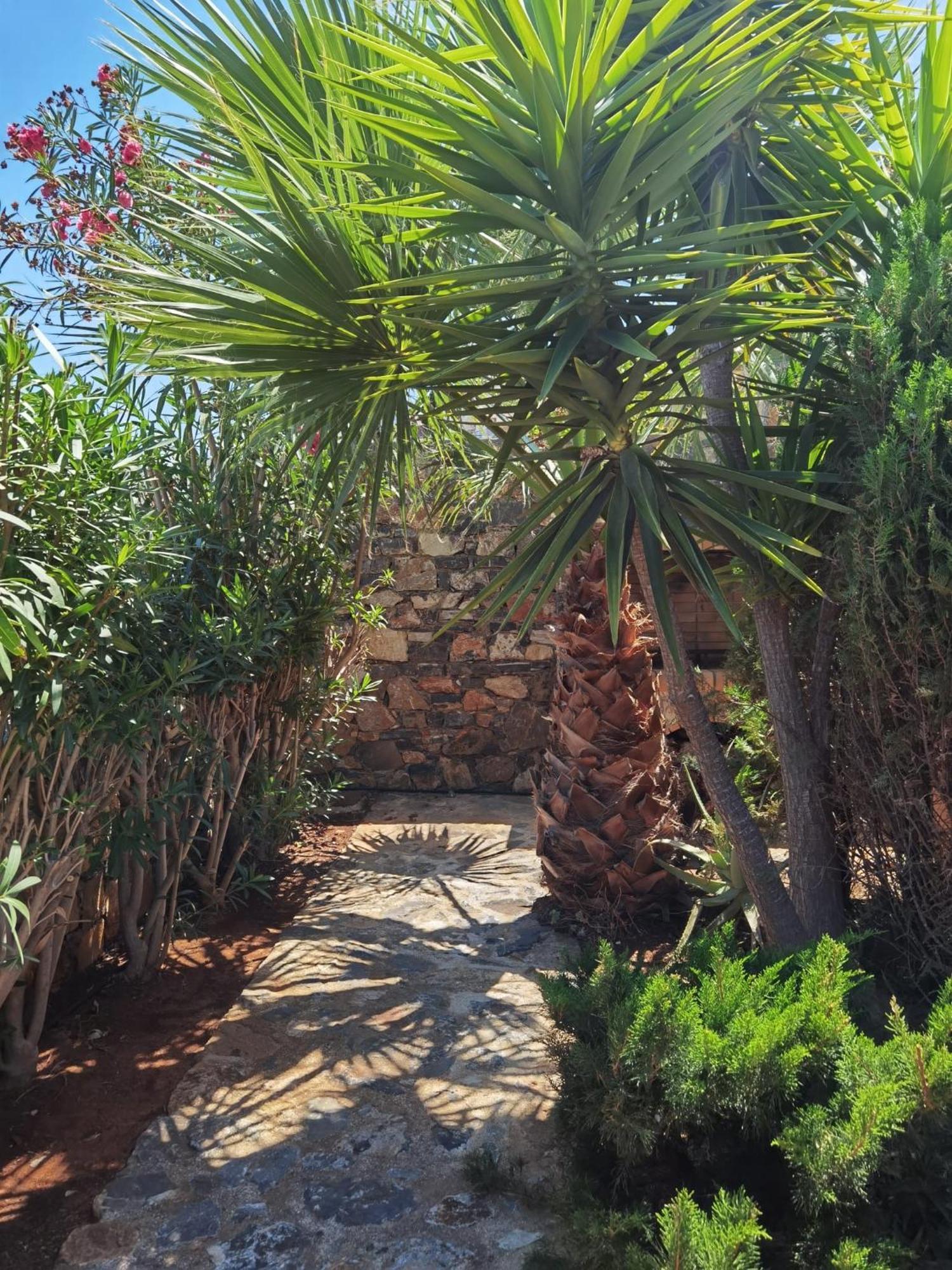 Andromeda Sea View Villa Epáno Elúnda Kültér fotó